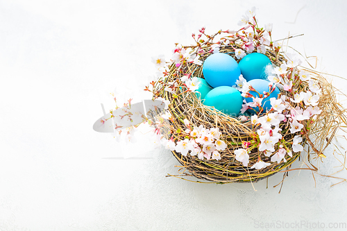 Image of Happy Easter - nest with Easter eggs and cherry branch on white background with copy space