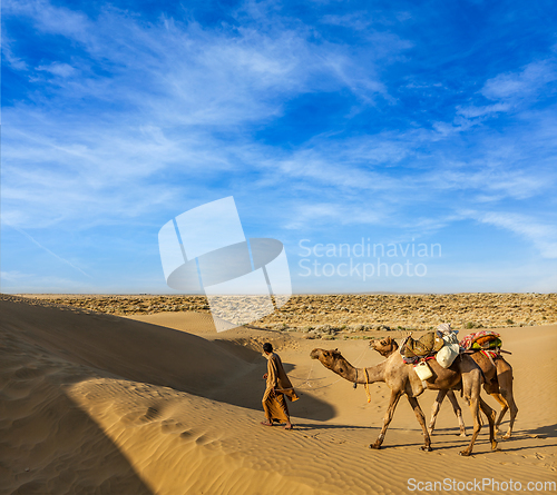 Image of Cameleer (camel driver) with camels in dunes of Thar desert. Raj