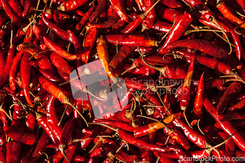 Image of Red spicy chili peppers