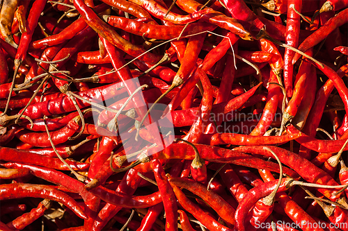 Image of Red spicy chili peppers