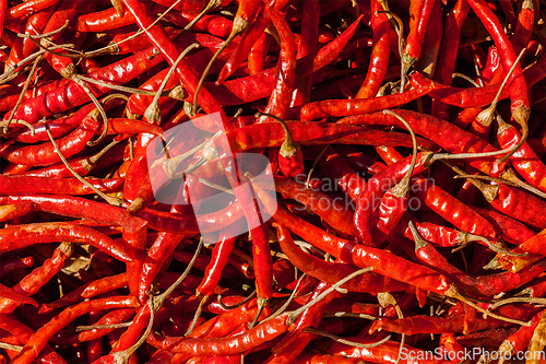 Image of Red spicy chili peppers