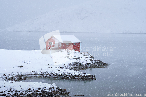 Image of Red rorbu house in winter, Lofoten islands, Norway