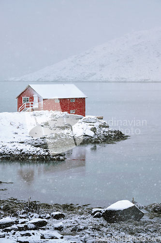 Image of Red rorbu house in winter, Lofoten islands, Norway