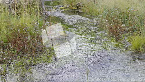 Image of Waves, spray and foam, river Katun in Altai mountains. Siberia, Russia