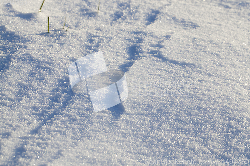 Image of Snow drifts in winter