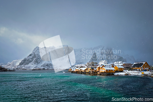 Image of Yellow rorbu houses, Lofoten islands, Norway