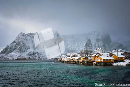 Image of Yellow rorbu houses, Lofoten islands, Norway