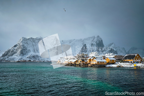 Image of Yellow rorbu houses, Lofoten islands, Norway