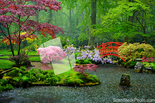 Image of Japanese garden, Park Clingendael, The Hague, Netherlands