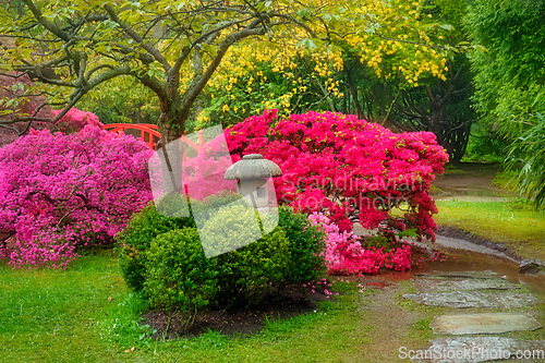 Image of Japanese garden, Park Clingendael, The Hague, Netherlands