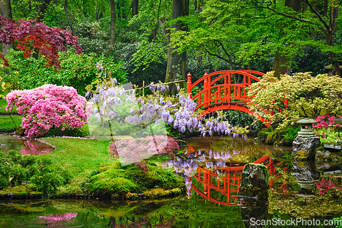 Image of Japanese garden, Park Clingendael, The Hague, Netherlands