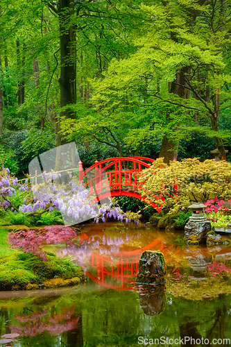 Image of Japanese garden, Park Clingendael, The Hague, Netherlands