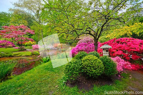 Image of Japanese garden, Park Clingendael, The Hague, Netherlands