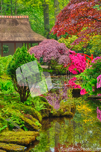 Image of Japanese garden, Park Clingendael, The Hague, Netherlands