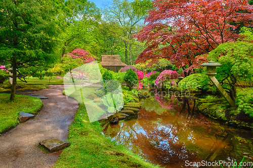 Image of Japanese garden, Park Clingendael, The Hague, Netherlands