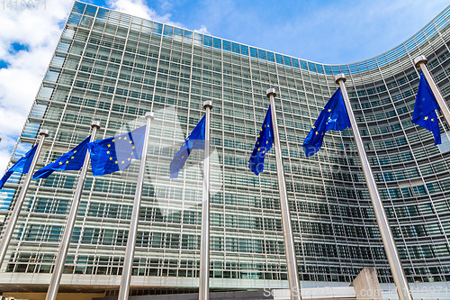 Image of European flags  in Brussels