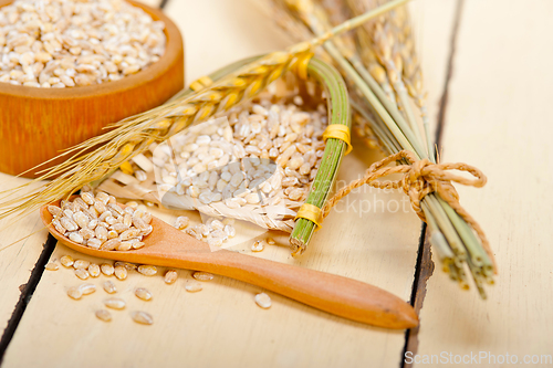 Image of organic wheat grains