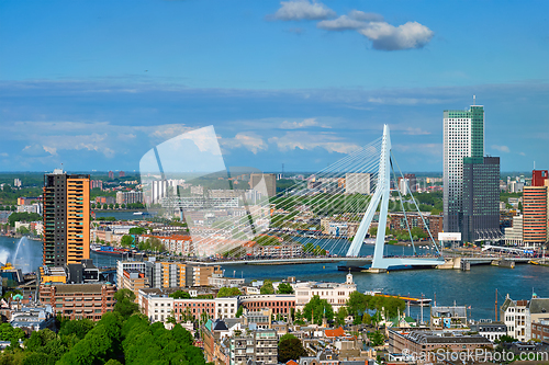 Image of View of Rotterdam city and the Erasmus bridge