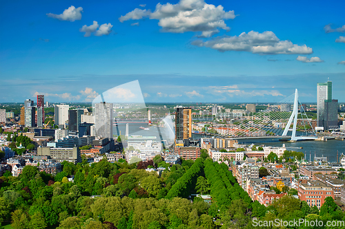 Image of View of Rotterdam city and the Erasmus bridge