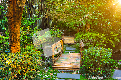 Image of Park in Chengdu, China