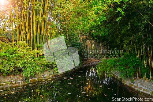 Image of Park in Chengdu, China