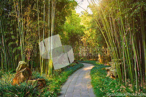 Image of Wangjiang Pavilion in Wangjianglou park. Chengdu, Sichuan, China