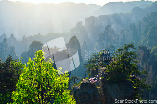 Image of Zhangjiajie mountains, China