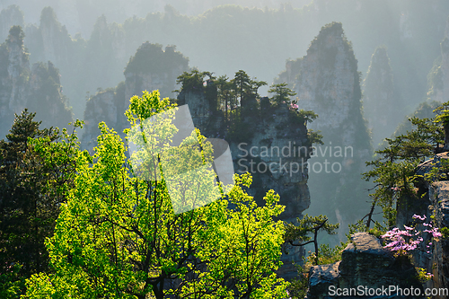 Image of Zhangjiajie mountains, China