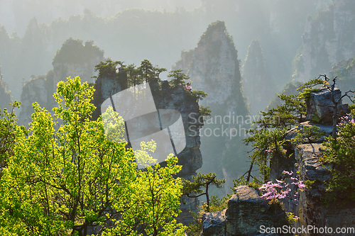 Image of Zhangjiajie mountains, China