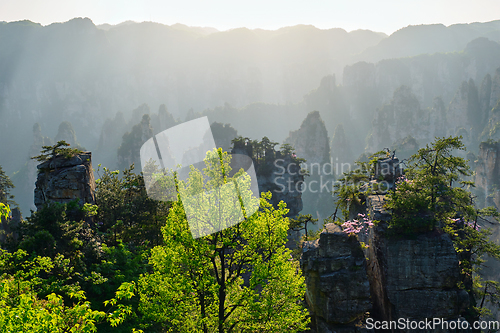 Image of Zhangjiajie mountains, China