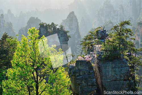 Image of Zhangjiajie mountains, China