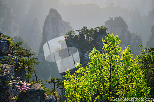 Image of Zhangjiajie mountains, China