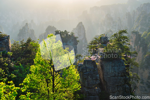 Image of Zhangjiajie mountains, China