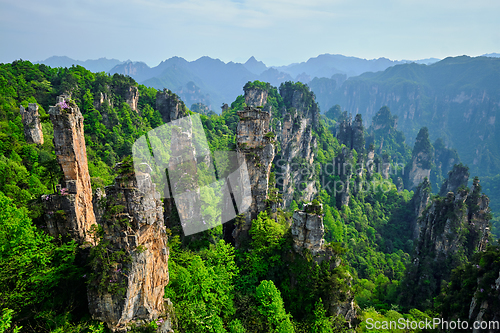 Image of Zhangjiajie mountains, China