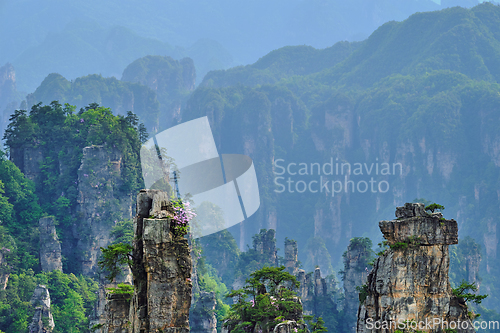 Image of Zhangjiajie mountains, China