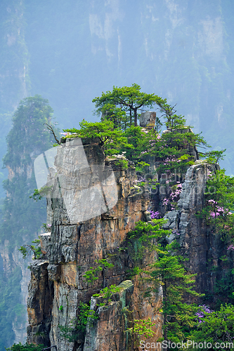 Image of Zhangjiajie mountains, China