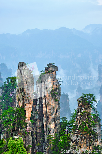 Image of Zhangjiajie mountains, China