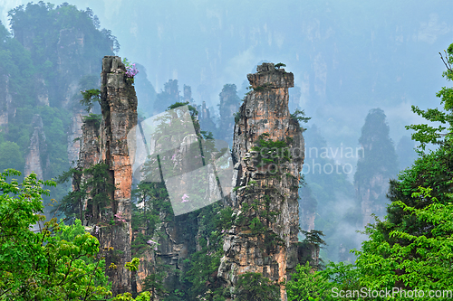 Image of Zhangjiajie mountains, China