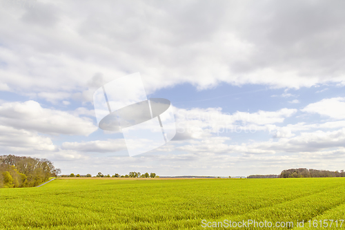 Image of rural landscape at spring time