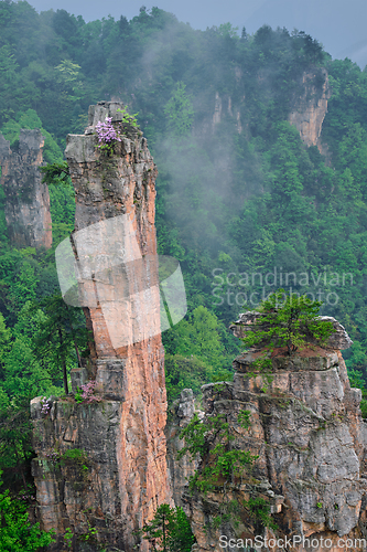 Image of Zhangjiajie mountains, China