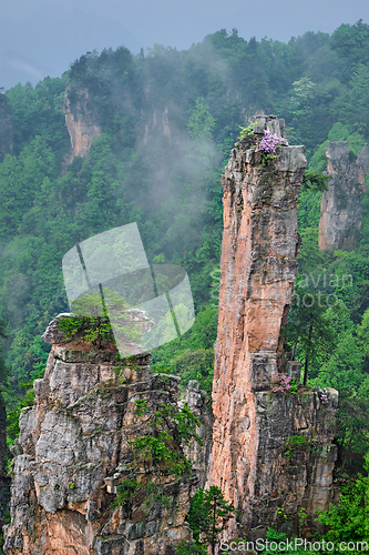 Image of Zhangjiajie mountains, China