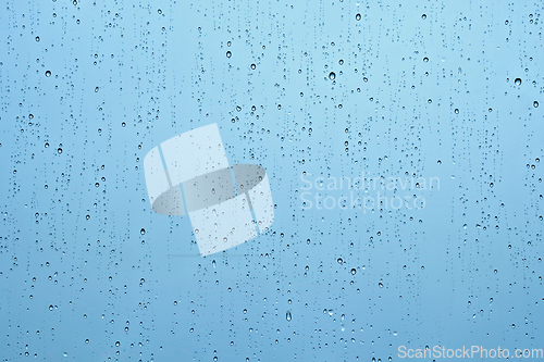 Image of Rain drops on window