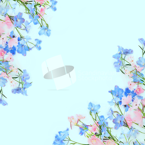Image of Delphinium Wild Flower Abstract Summer Background