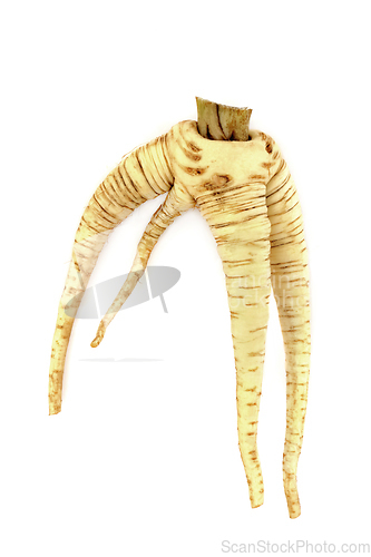 Image of Parsnip Vegetable Twisted and Forked