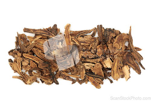 Image of Hog Fennel Root Herb Chinese Herbal Plant Medicine