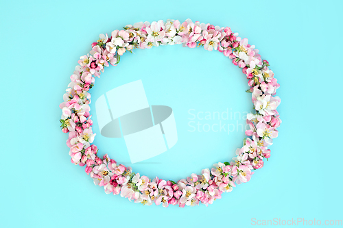 Image of Apple Blossom Flower Spring Wreath