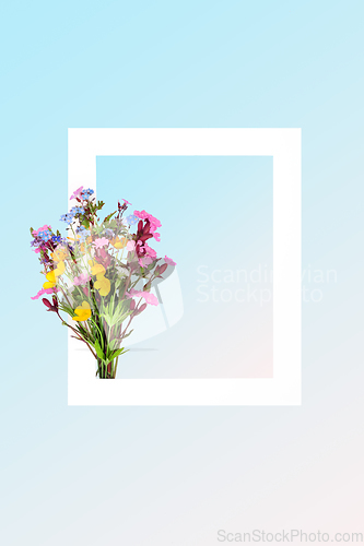 Image of Wildflower Posy Spring Floral Background Frame 