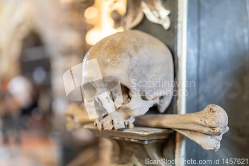 Image of Human skulls and bones in ossuary Sedlec Kostnice