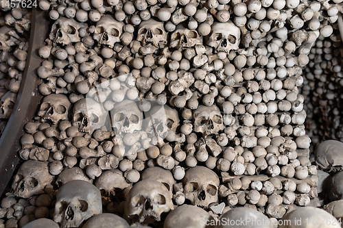 Image of Human skulls and bones in ossuary Sedlec Kostnice