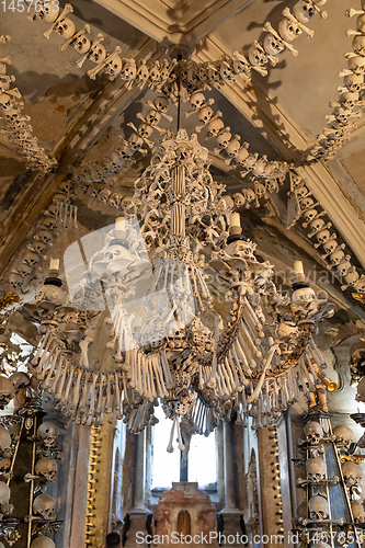 Image of Human skulls and bones in ossuary Sedlec Kostnice